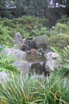 岡崎の庭3