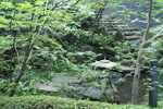 ウェリス駒込レジデンス庭園2