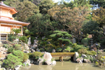 鎌倉の庭