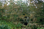茨城の庭