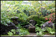 千寿庵の庭